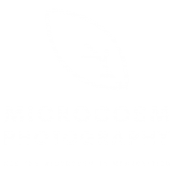 Microcosm Photography